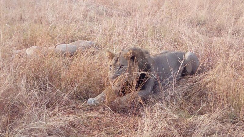 Kidepo Valley National Park