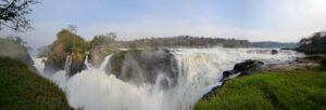 Read more about the article Murchison Falls National Park