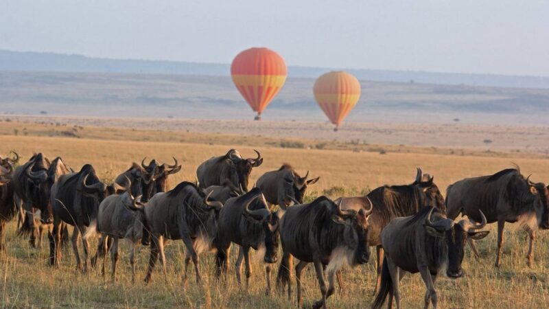 Maasai Mara National Reserve