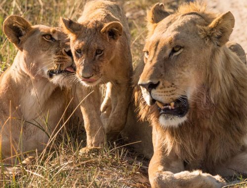 292174_66e03a9d48b9e